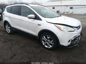 FORD ESCAPE SEL