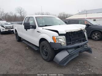 FORD F-150 XL/XLT