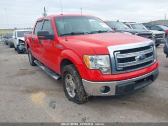 FORD F-150 XLT