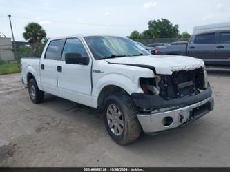 FORD F-150 XL