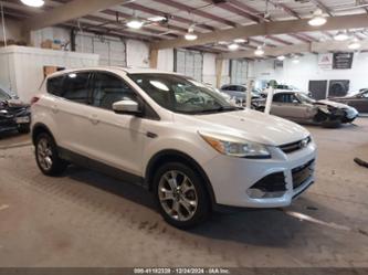 FORD ESCAPE SEL