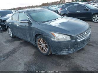 NISSAN MAXIMA 3.5 SV W/PREMIUM PKG