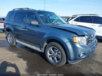 FORD ESCAPE XLT