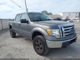 FORD F-150 XL/XLT