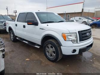 FORD F-150 FX4/HARLEY-DAVIDSON/KING RANCH/LARIAT/PLATINUM/XL/XLT