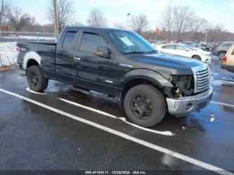 FORD F-150 XLT