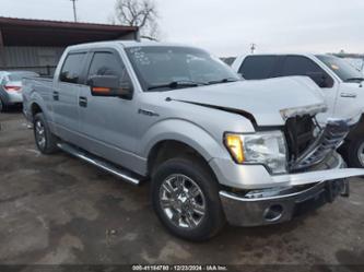 FORD F-150 XLT