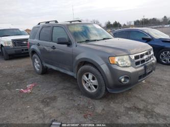 FORD ESCAPE XLT