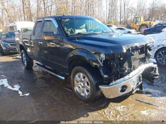 FORD F-150 XLT