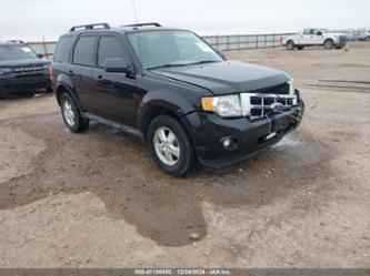 FORD ESCAPE XLT