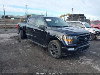 FORD F-150 XLT