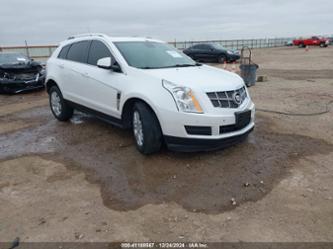 CADILLAC SRX LUXURY COLLECTION