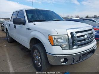 FORD F-150 XLT