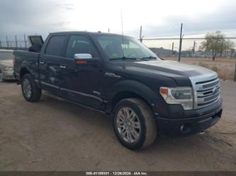 FORD F-150 PLATINUM