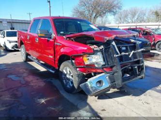 FORD F-150 XLT