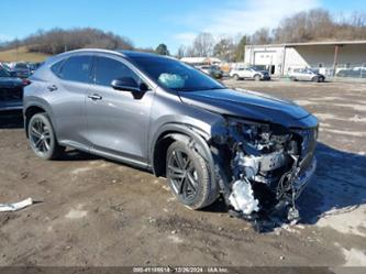 LEXUS NX 450H LUXURY