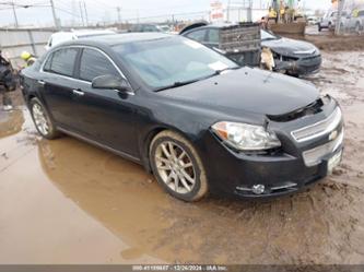 CHEVROLET MALIBU 1LZ