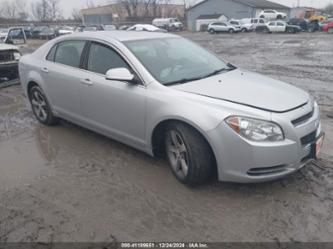 CHEVROLET MALIBU 1LT