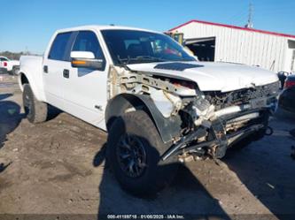 FORD F-150 SVT RAPTOR