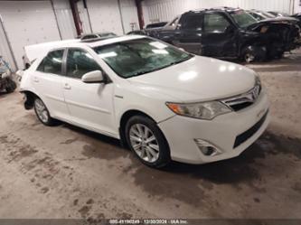 TOYOTA CAMRY HYBRID XLE