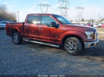 FORD F-150 XLT