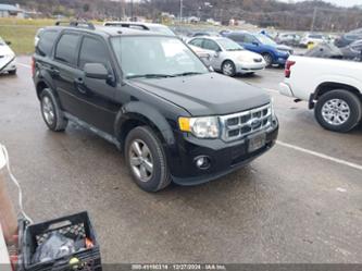 FORD ESCAPE XLT