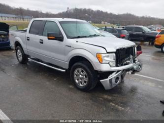 FORD F-150 XLT