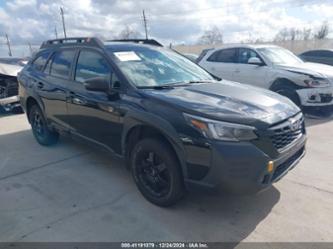 SUBARU OUTBACK WILDERNESS