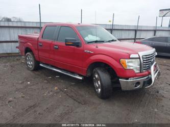 FORD F-150 XLT