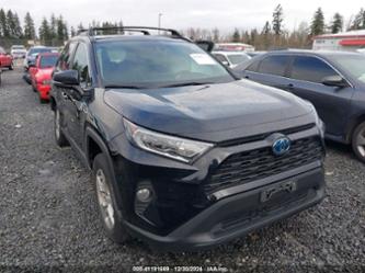 TOYOTA RAV4 HYBRID XLE