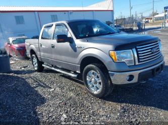 FORD F-150 XLT