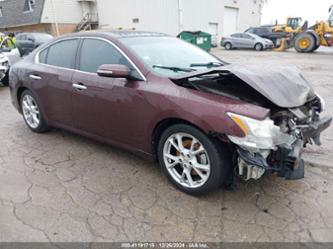 NISSAN MAXIMA 3.5 SV