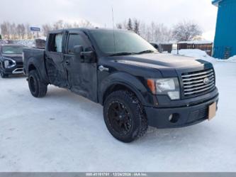 FORD F-150 HARLEY-DAVIDSON