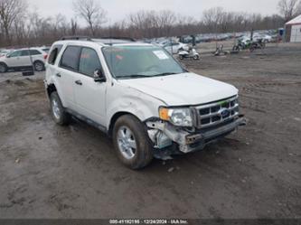 FORD ESCAPE XLT