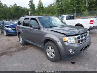 FORD ESCAPE XLT