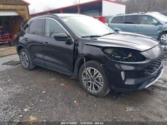 FORD ESCAPE SEL