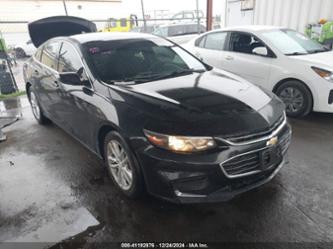 CHEVROLET MALIBU 1LT