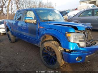 FORD F-150 FX4