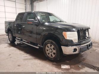 FORD F-150 FX4/HARLEY-DAVIDSON/KING RANCH/LARIAT/PLATINUM/XL/XLT