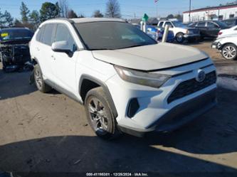 TOYOTA RAV4 HYBRID XLE