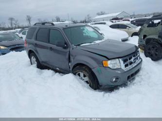 FORD ESCAPE XLT