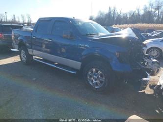 FORD F-150 XL/XLT