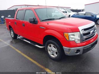 FORD F-150 XLT