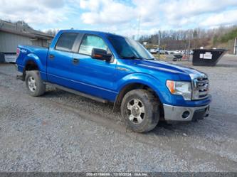 FORD F-150 XLT