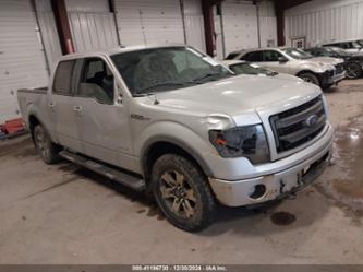 FORD F-150 FX4