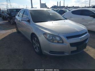 CHEVROLET MALIBU 1LT