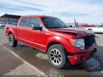 FORD F-150 PLATINUM