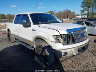 FORD F-150 FX4/HARLEY-DAVIDSON/KING RANCH/LARIAT/PLATINUM/XL/XLT