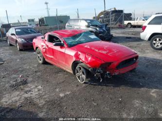 FORD MUSTANG V6