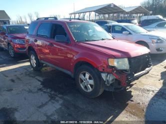 FORD ESCAPE XLT